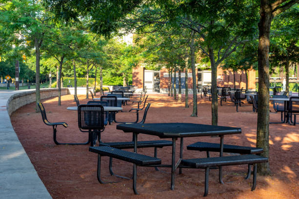 istock Park in the City 1176457839