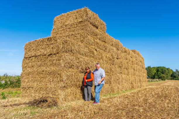 istock Senior multiracial couple  on hay bales 1176458858