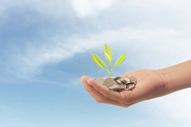istock Money plant growing from coins in hand 1176458937