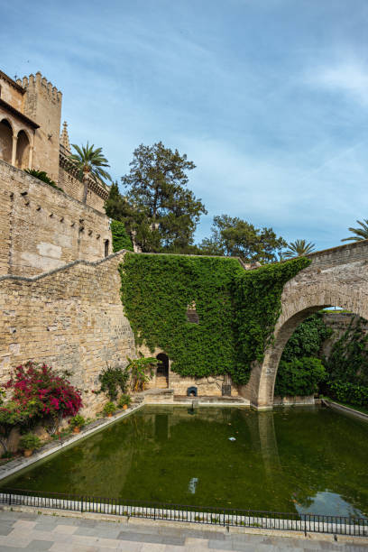 istock Cathedral of Palma de Mallorca 1176459085