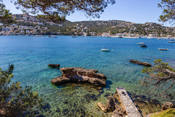 istock General view of port Andratx , Mallorca 1176459553