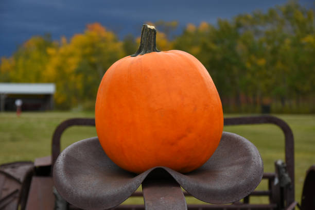 Single Ripe Pumpkin An image of a single ripe pumpkin on old vintage farming equipment. rusty old wagon detail stock pictures, royalty-free photos & images