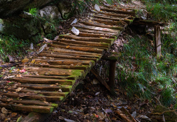 istock Nature forest and mountain road image 1176462525