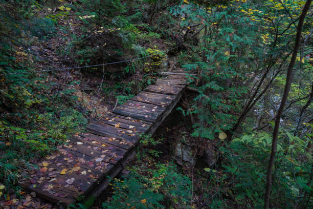 istock Nature forest and mountain road image 1176463564