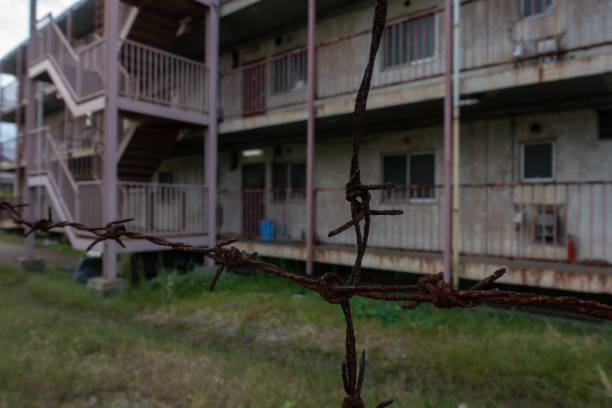 Apartment where no one lives / Image of ruins Apartment where no one lives / Image of ruins rusty barbed wire stock pictures, royalty-free photos & images