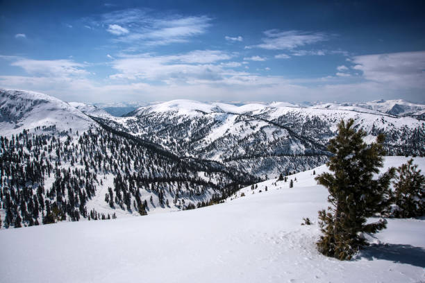 istock Trees covered with hoarfrost and snow in mountains 1176466174