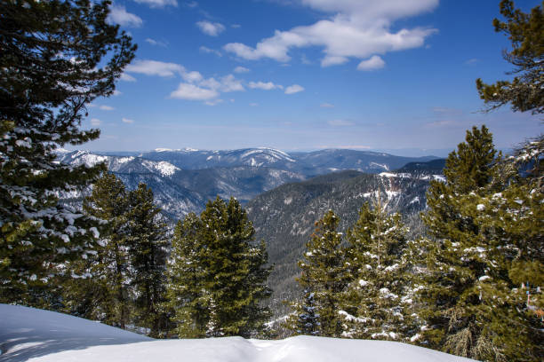 istock Trees covered with hoarfrost and snow in mountains 1176466261