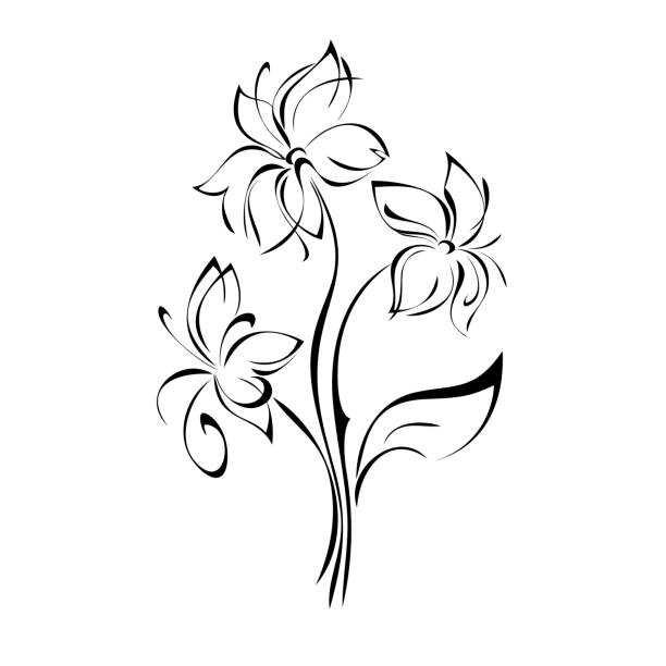 ilustrações, clipart, desenhos animados e ícones de ornamento 841 - white background bouquet beautiful studio shot