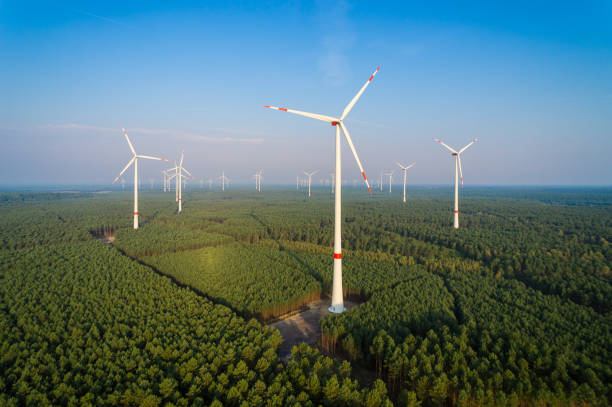istock Panorama of a wind farm in the forest 1176472306