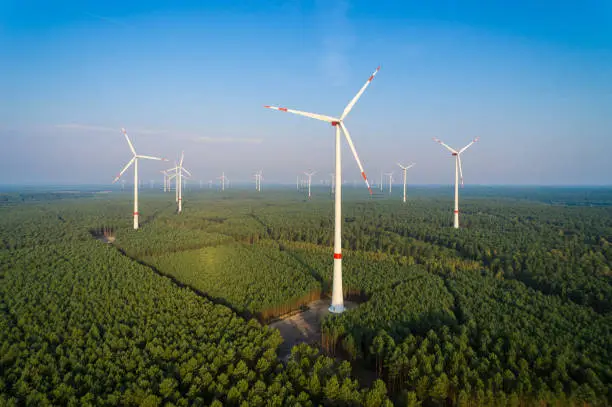 Panorama of a wind farm in the forest