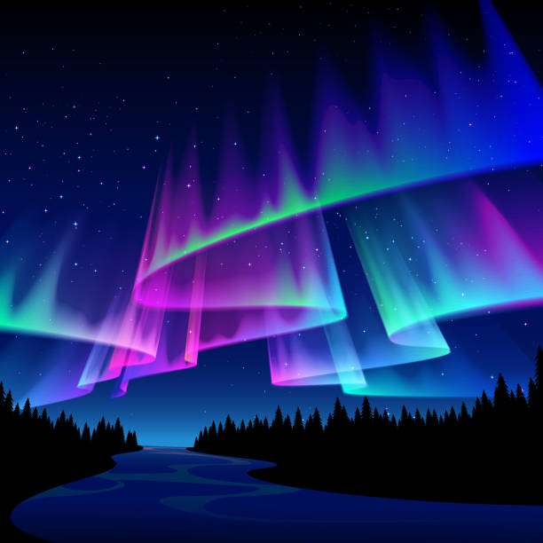 forest scene with aurora A forest night scene with aurora in the sky. aurora borealis stock illustrations