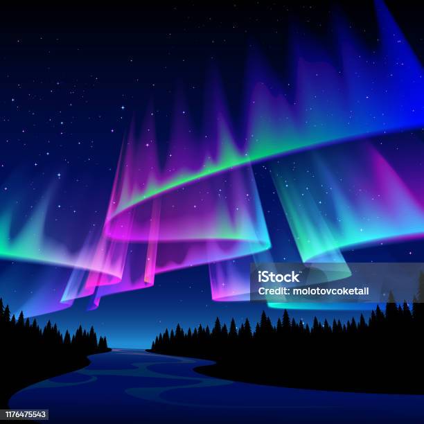 Forest Scene With Aurora Stock Illustration - Download Image Now - Aurora Borealis, Aurora Polaris, Night