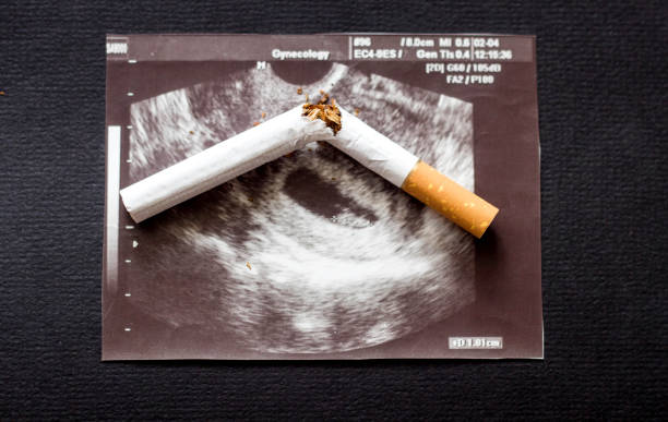 cigarrillo roto en una imagen de embarazo uzi, tabaquismo y embarazo, gestación y cigarrillo - ticket stub fotos fotografías e imágenes de stock
