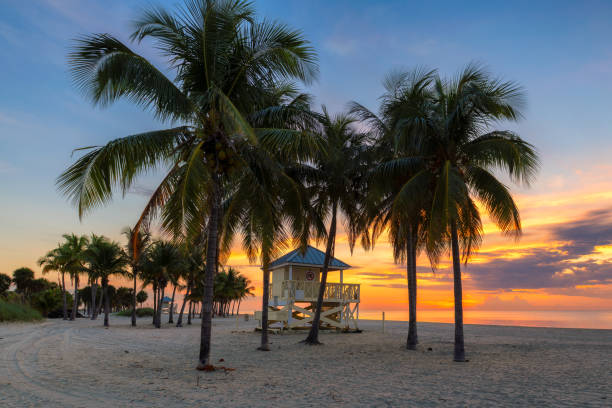 istock Sunrise by the ocean beach in Florida Keys 1176478989