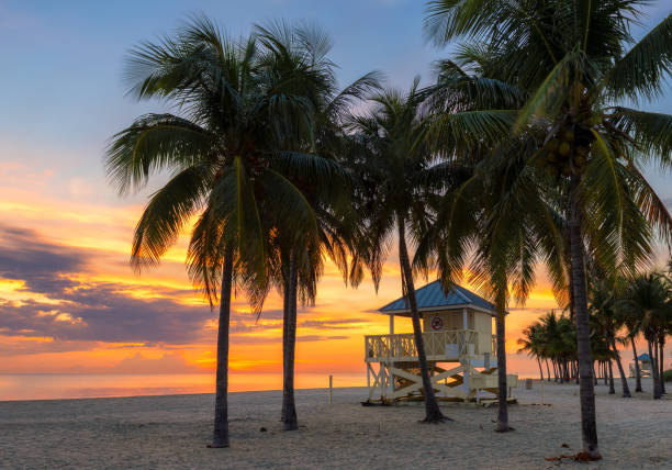 istock Sunrise by the ocean beach in Florida Keys 1176478995