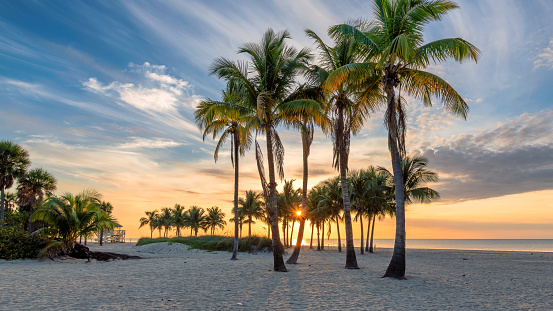 Silhouettes of coconut palm trees on tropical beach at sunrise in Florida Keys.