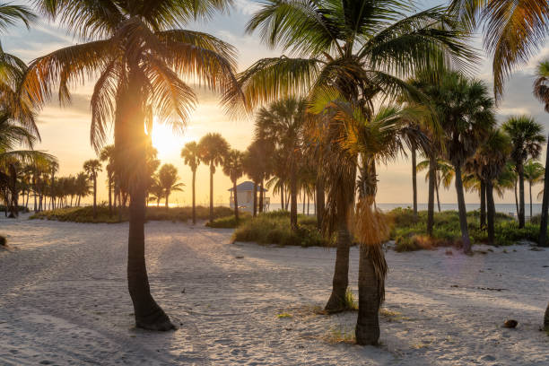 istock Sunrise by the ocean beach in Florida Keys 1176479017