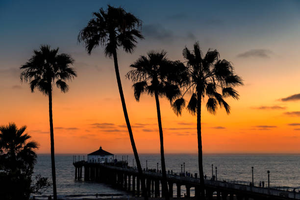 istock Silhouette of coconut palms at sunset 1176479036