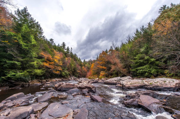 istock Appalachian mountain river during Autumn with vivid Fall colrs 1176479928