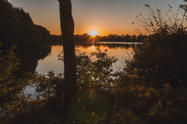 Nice autumn sunset on pond with bush and tree. Czech landscape Nice autumn sunset on pond with bush and tree. Czech landscape 2632 stock pictures, royalty-free photos & images