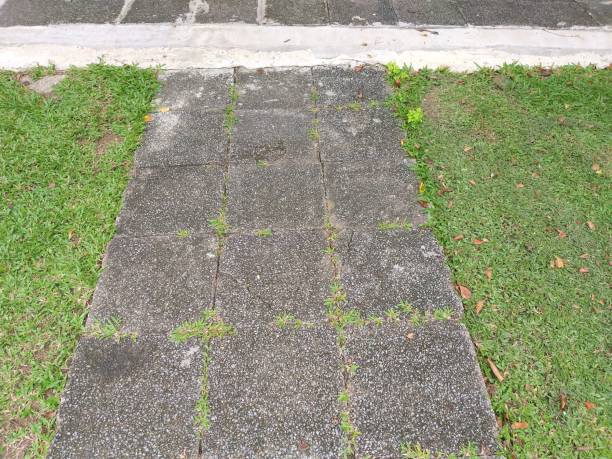 istock cement plate on green grass in nature garden 1176482120