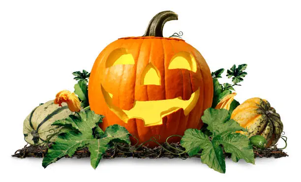 Happy halloween pumpkin jack o lantern with pumpkins and leaves on a white background as a seasonal concept and autumn symbol for a cute holiday squash or thanksgiving time with 3D illustration elements.