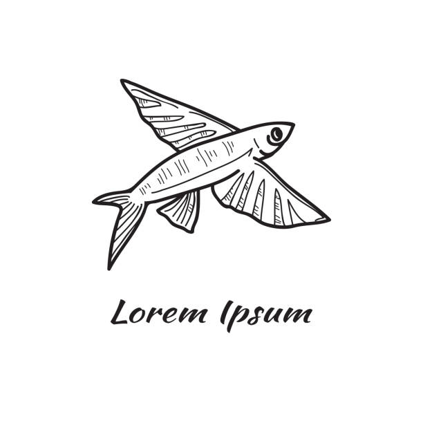 illustrazioni stock, clip art, cartoni animati e icone di tendenza di pesce volante disegnato a mano - pesce volante immagine
