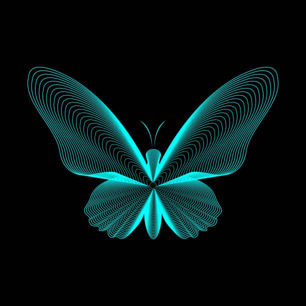 Butterfly lines vector illustration. Neon lines on black Butterfly lines vector illustration. Neon lines on black eps10 drawing of spring free stock illustrations