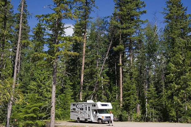 istock Big Motorhome with owner in the woods 117649275