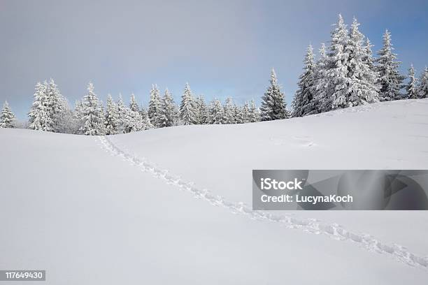 Winterlandschaft Stockfoto und mehr Bilder von Schnee - Schnee, Tannenarten, Wald