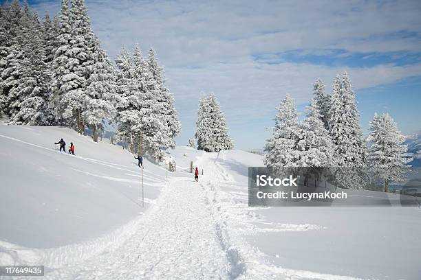 Winterlandschaft Stockfoto und mehr Bilder von Alpen - Alpen, Baum, Berg