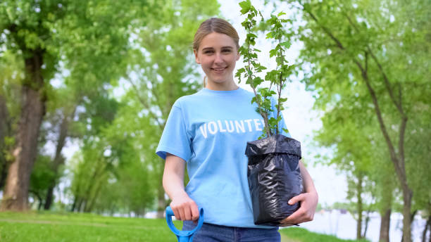 Attractive female volunteer holding tree seedling, environmental protection