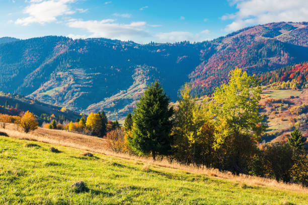 istock wonderful sunny autumn day in mountains 1176498561