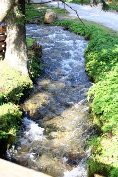 istock Small stream in the mountains with moss covered rocks 1176499836