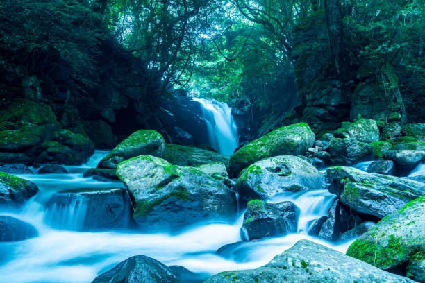 istock fish in the waterfall, Aso, Kumamoto 1176500758