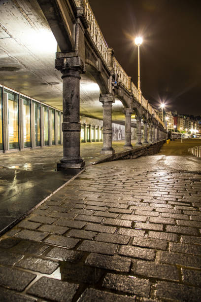 istock Donostia San Sebastian promenade at night 1176511145