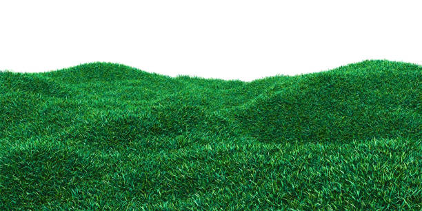 istock Background image of lush grass field 1176513326