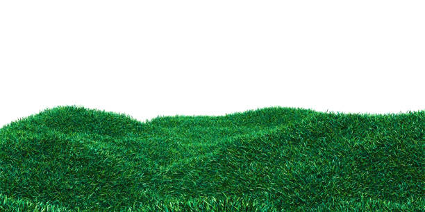 istock Background image of lush grass field 1176513992