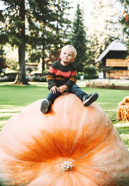 Photo of Smiling boy sits on huge size pumpkin. Child playing on harvest festival at autumn time.