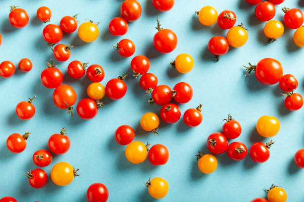 istock Red and yellow cherry tomatoes on blue background. Fresh bright organic vegetables 1176516013