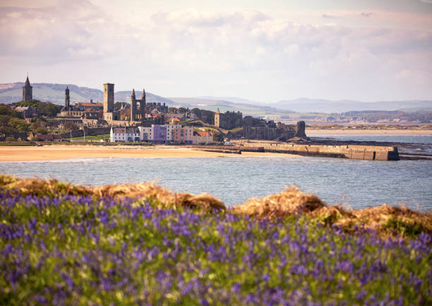 Looking out over the bay towards the town of St Andrews, with a riot of foreground colour.