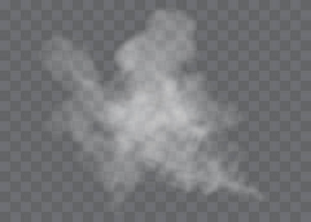 istock Transparent special effect stands out with fog or smoke. White cloud vector, fog or smog. 1176516891