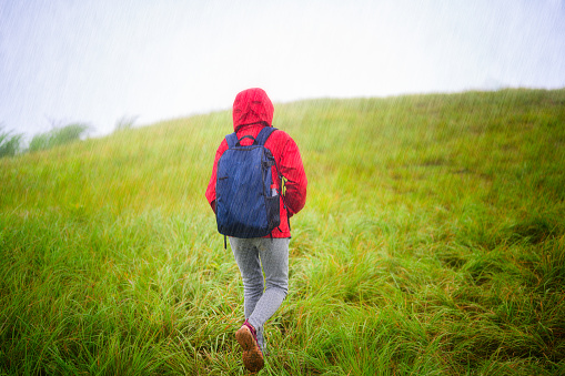 woman traveller walking in the raining shower on the grasses of the hill, trekking on the mountain to destination under raining, Hard life keep going without give up