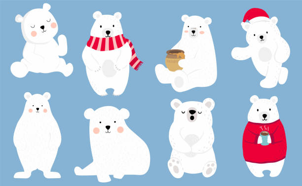 ilustraciones, imágenes clip art, dibujos animados e iconos de stock de carácter simple de oso blanco con suéter rojo. utilice para la invitación de navidad, imprimible, pegatina. ilustración vectorial personaje doodle dibujos animados - bear teddy bear characters hand drawn