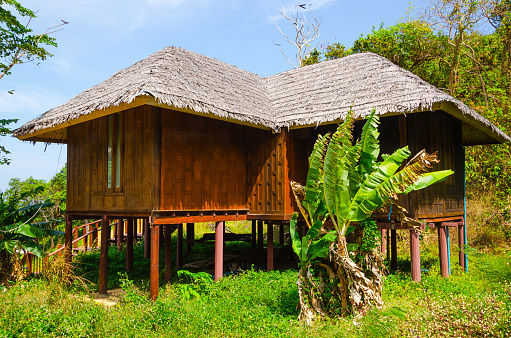 A simple hut near the edge of the water, a tributary of the Amazon river