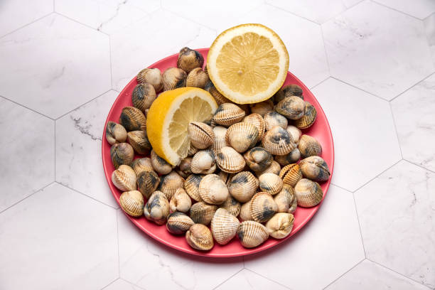 istock view of fresh cockles on a plate 1176520006