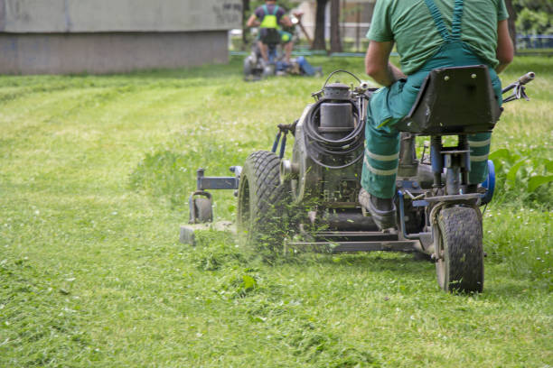 istock Worker mowing grass in a city park 1176520508