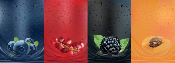 fruchtsaft, brombeere, heidelbeere, aprikose, rote johannisbeere. frische früchte und grün mit grünem blatt. spritzt mit früchten. sommer, natur, getränk, cocktail. 3d realistische frucht aus der nähe. vektor-illustration - backgrounds berry close up dessert stock-grafiken, -clipart, -cartoons und -symbole