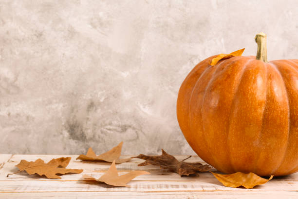 istock Autumnal top view composition with fall season symbolics on textured background. 1176523899