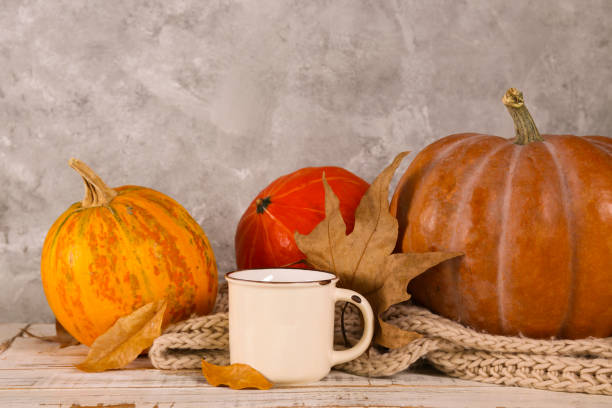 istock Autumnal top view composition with fall season symbolics on textured background. 1176523940